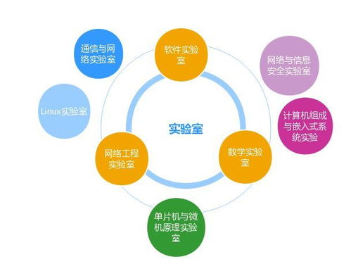 網(wǎng)絡(luò)如山勤思為徑，信息似海安全作舟——浙師教授談網(wǎng)絡(luò)工程與網(wǎng)絡(luò)安全專業(yè)